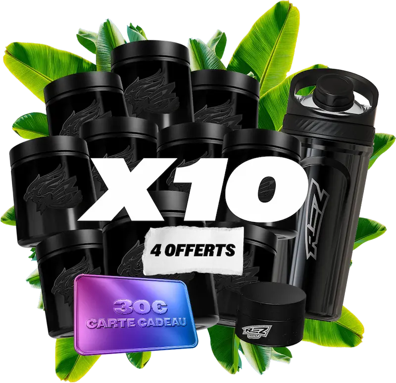 Rez X10 (6+4)